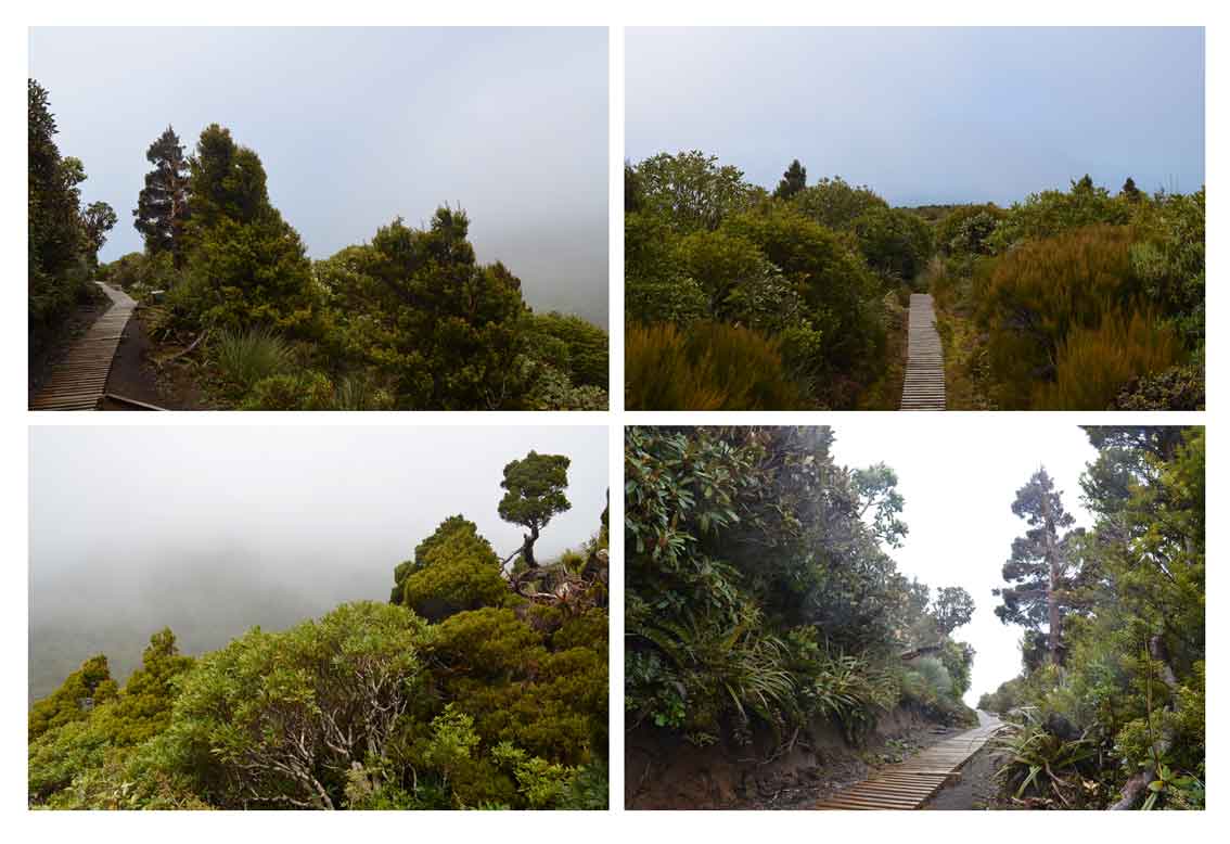 taranaki mountain on a  cloudy day 